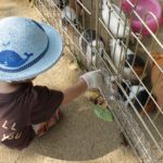 1歳8ヶ月の記録　風邪が多いです。。