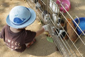 1歳8ヶ月の記録　風邪が多いです。。