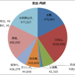 4歳児/1歳児の4人家族 1月の家計大公開！